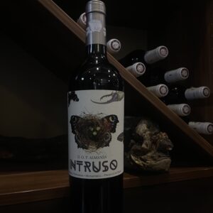 Intruso