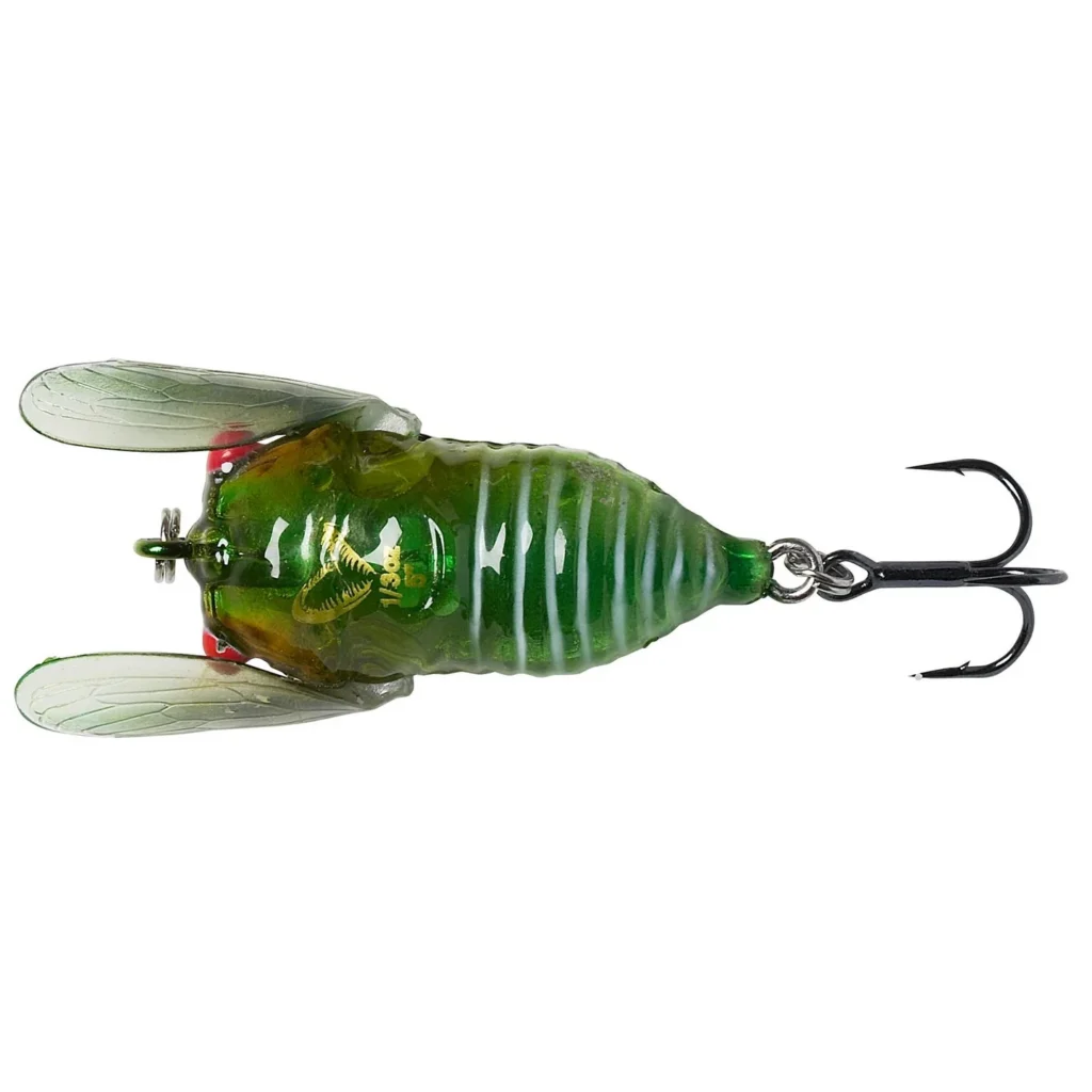 3D CICADA