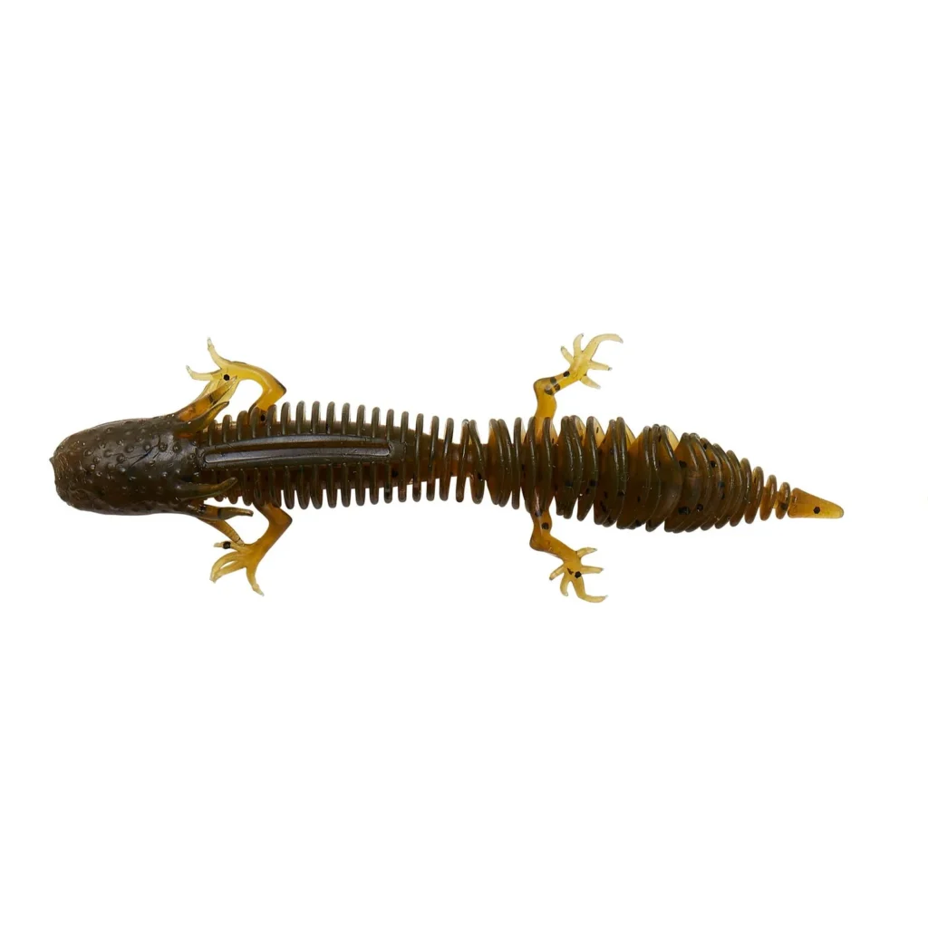 NED SALAMANDER
